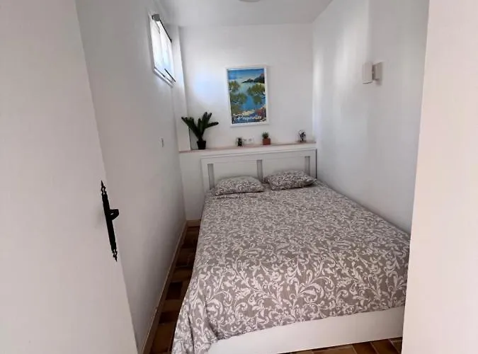 En Rez De Jardin Dans Résidence Appartement Hyères
